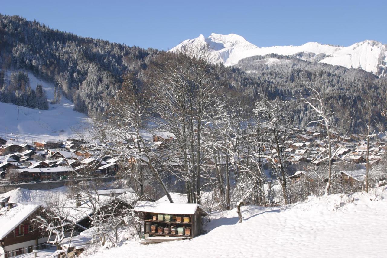 Appartement Cordée Côté Sud à Morzine Extérieur photo